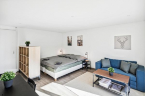 FENUS Ferienwohnung direkt an der Skipiste SGT07